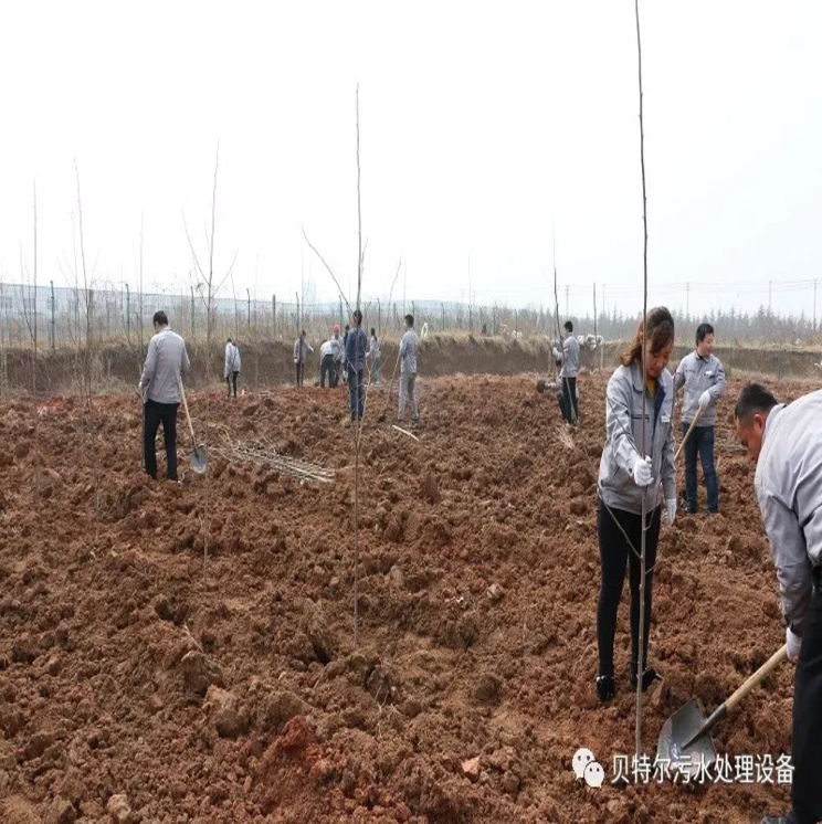 貝特環(huán)保開展“積極參加義務植樹，建設美麗貝特環(huán)?！被顒? onmousewheel=